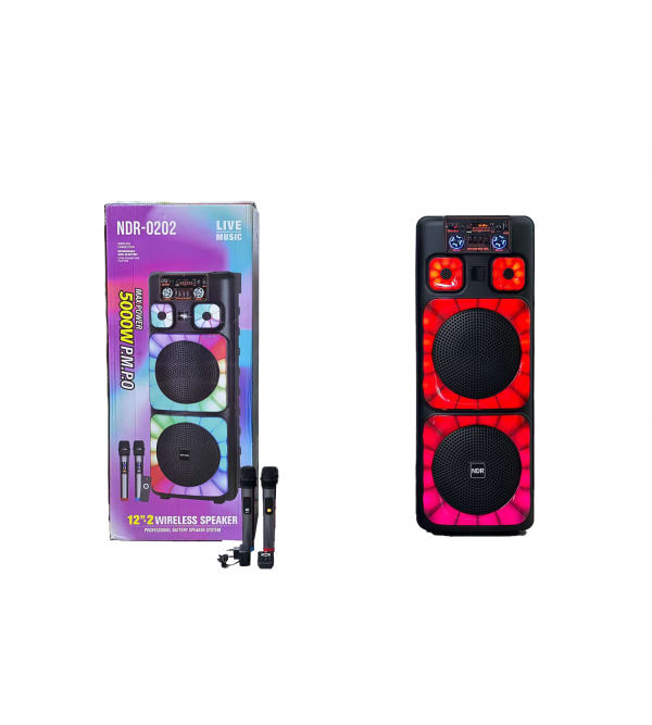 PL-4580 BLUETOOTH SD,USB GİRİŞLİ MİKROFONLU R...